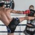 Why I Think Kick Shields are the Most Underappreciated Piece of Training Equipment for MMA